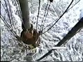 Actinia Oil Rig Blowout