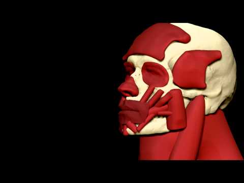 Damon Albarn - Everyday Robots (Official Video)