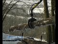 ATV Quad mit Rückewagen und Forstkran
