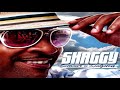 Shaggy - Dame ★ NEW 2011 ★