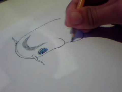 How to Draw a Koi Fish