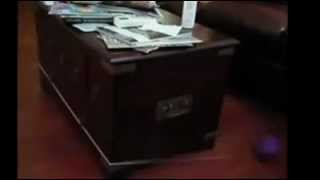 Como fazer um bulldog emagrecer