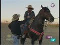 Criadero de Caballos en Vallecillo NL