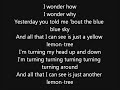 Fool's Garden-Lemon Tree lyrics