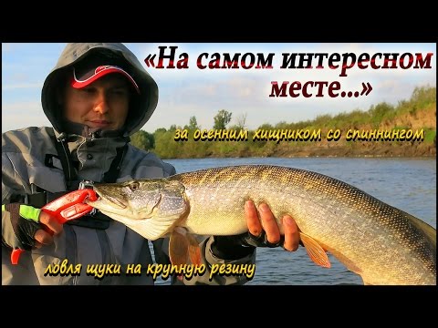 джиг в камыше джиг в камыше