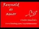 Reynold es Amor