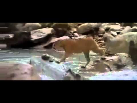 Best Movie Watch This If You Love Your Mom YouTube 360p - صوت وصوره لايف