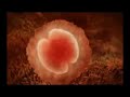 Do You Know How You Were Born? The most viewed video on