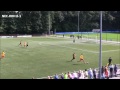 Samenvatting Nec - Rohda Raalte