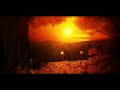 Adobe after effects-Trapcode particular version 2.0 projects