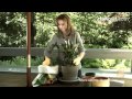 Quick Tips: How To Fill a Too-Large Plant Container