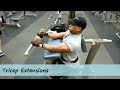 New Arm Routine To Add Size