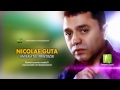 Nicolae Guta - Am baiatul printisor (Manele Gratis) 2014