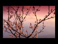 Asian Dream Song - Joe Hisaishi 久石 譲