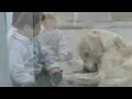 Veja como um cachorro consegue interagir com uma criança portadora da Síndrome de Down