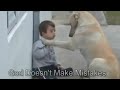 Veja como um cachorro consegue interagir com uma criança portadora da Síndrome de Down