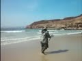 BIG SEATROUT.wmv
