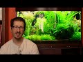 Balance in the Planted Tank: Carbon Dioxide and Oxygen