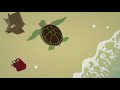 The survival of the sea turtle - Scott Gass