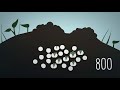 The survival of the sea turtle - Scott Gass