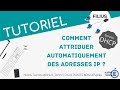 Filius - Comment attribuer automatiquement des adresses IP