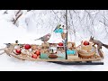 The Traveling Bird Feeder 4 - Relax With Squirrels & Birds - 2022