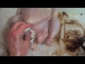 How To Make KFC Chicken