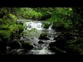 200mins. Classical Music for Studying-Relaxing Study Sounds-Sleep Relaxation