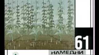 Намедни. Наша эра 1961-91