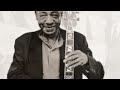Bobby Hebb - Sunny (1966)
