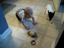 T crawling on slippery floor, or trying to at least!