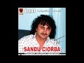 Sandu Ciorba - Ce inselatori sunt banii