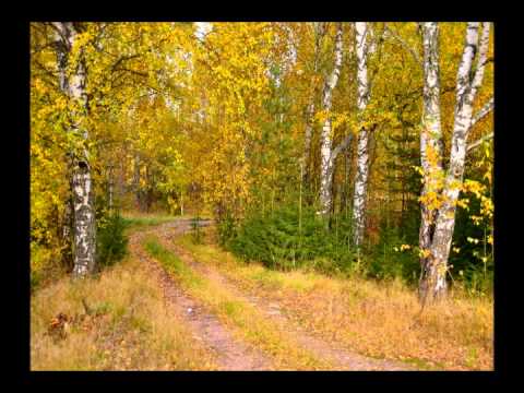 Песня отчего так в россии березы шумят скачать