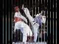 taekwondo ko top 20