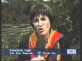18.4.2008 – Il Matsucoccus feytaudi attacca i pini marittimi