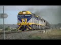 50 More Trains in 15 Minutes Compilation - Australian Trains, New South Wales
