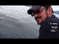 Monster Lingcod - Seward Alaska Fishing
