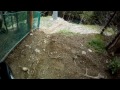 PDS Morzine Les Gets Champery - Downhill mountain biking - 2010