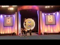 Partner Stunts World Champions 2013 - Team Costa Rica - Fer & Martin