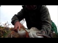 Lure Fishing For Pike On The Lincolnshire Drains Sibsey Trader Boston