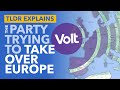 A Federal Europe? The Party Trying to Unite Europe Further - TLDR News 2021