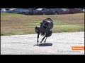 Meet WildCat: The Galloping, Bounding Robot Animal