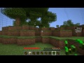 Bottle Ant Farm Survival #02