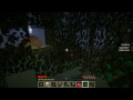Bottle Ant Farm Survival #02