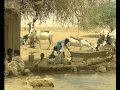 Agriculteurs et leur bétail