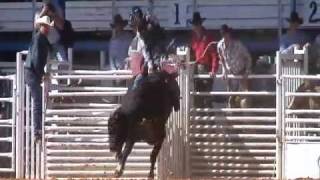 Auto Horse Racing Rodeo Bull Riding on Youtube   Rodeo   Youtube