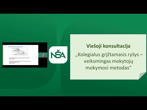 Nacionalinė švietimo agentūra. Viešoji konsultacija „Kolegialus grįžtamasis ryšys – veiksmingas mokytojų mokymosi metodas“