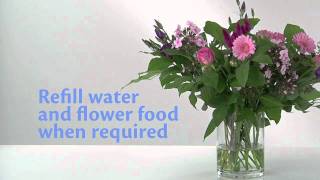 Why It's Important To Use Flower Food For Your Flowers - Article on