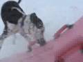 Winter play Winter play