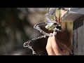 Amazing Water & Sound Experiment #2